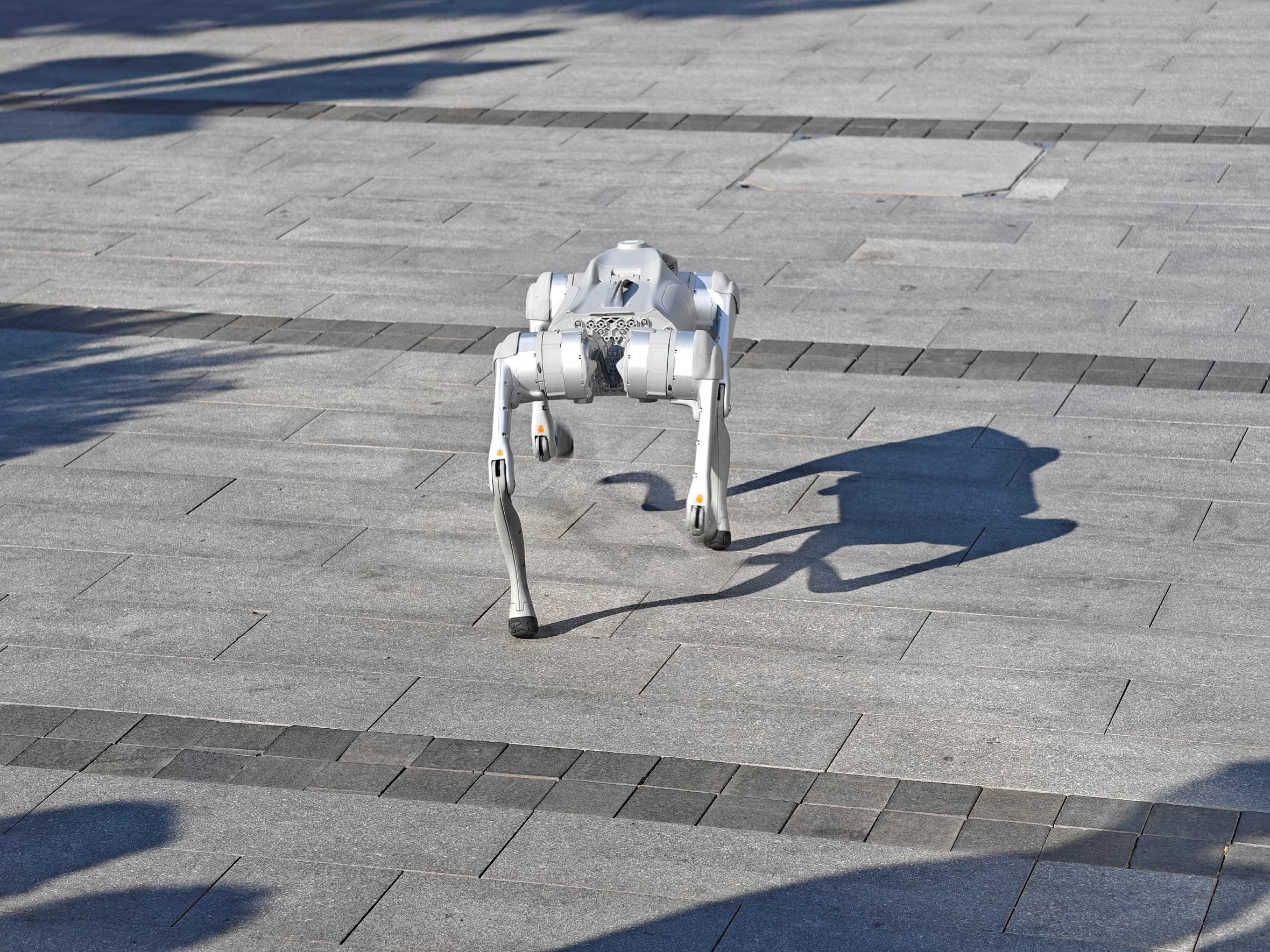 МТС Web Services запускает направление Physical AI — подразделение займётся разработкой ПО для «умных» роботов