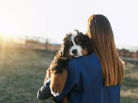 Помощь приютам — от METRO: в 15 торговых центрах появились боксы, куда можно положить корм для бездомных животных