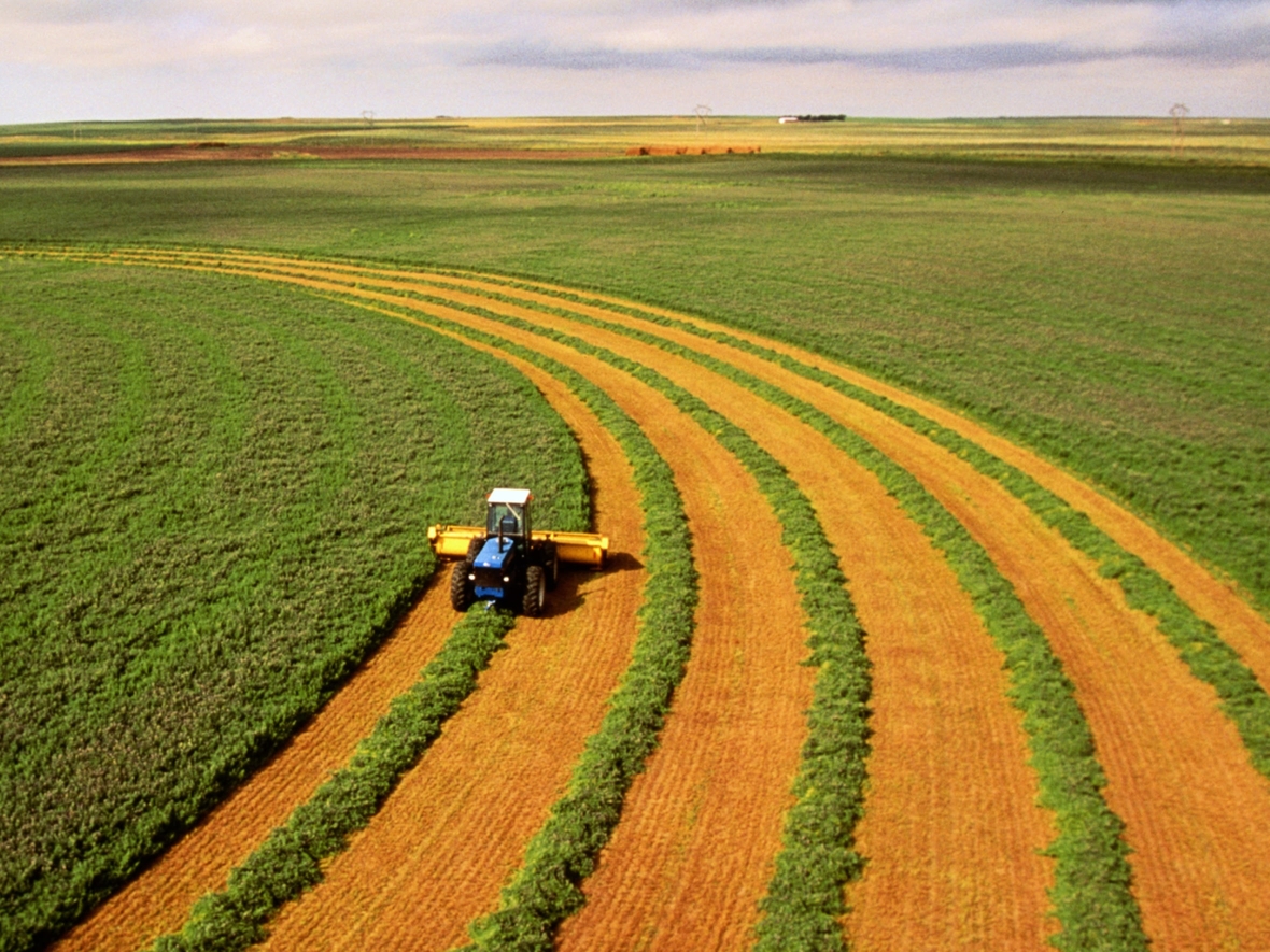 Зарплаты в агропроме растут быстрее других ниш экономики — в рыболовстве можно заработать свыше 160 000 ₽