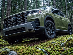 Кроссовер Honda в лесу