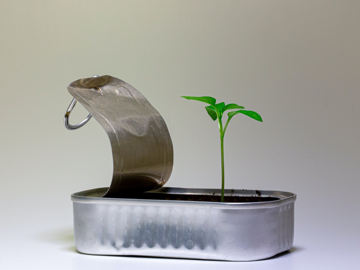 5 причин подать заявку на конкурс грантов РФРИТ.рф