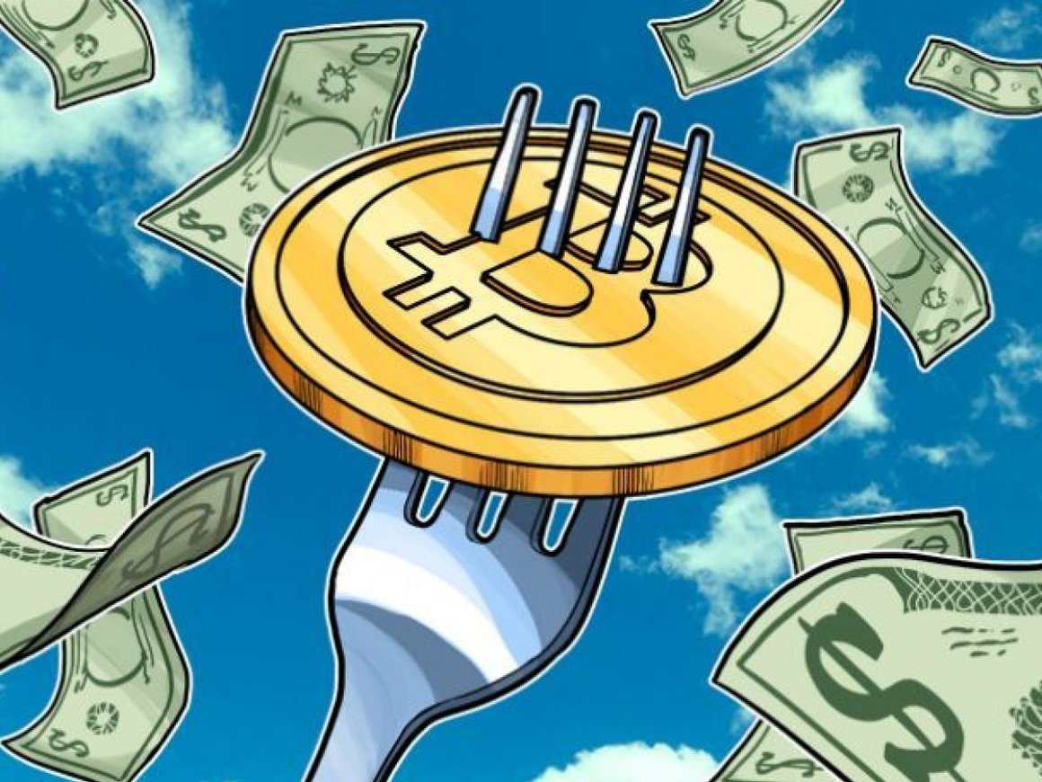 Курс Bitcoin Cash вырос на 50% и впервые в истории превысил $1000