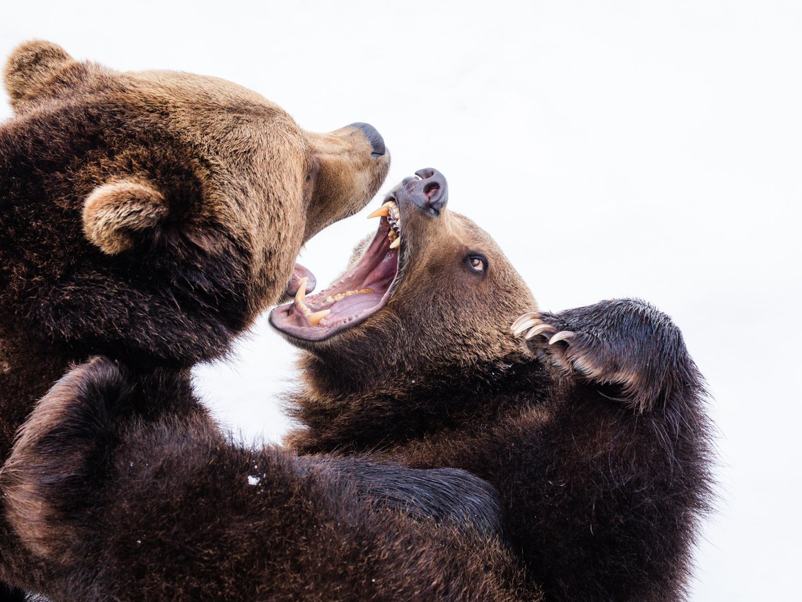 Инвестор-миллиардер Дэвид Эйнхорн объявил о новой ставке против Tesla