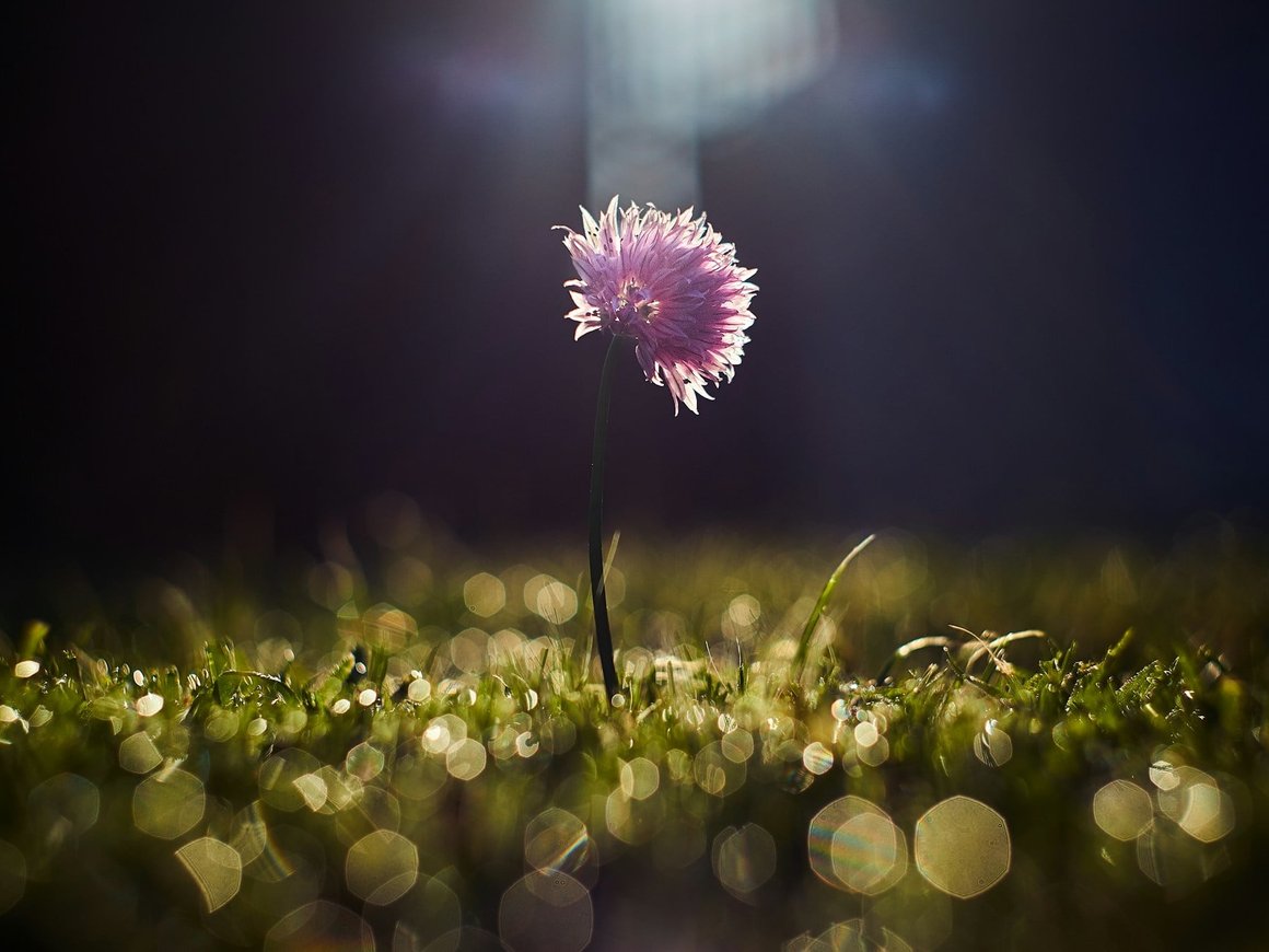 Эффект видимости: три способа привлечь внимание к продукту