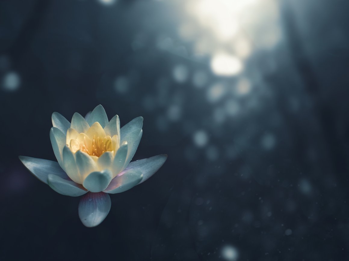 Как быстро успокоиться после стрессовой ситуации