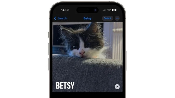 скриншот iPhone с фотографией кошки