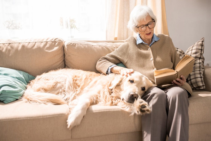 пожилая женщина сидит на диване рядом с лабрадором