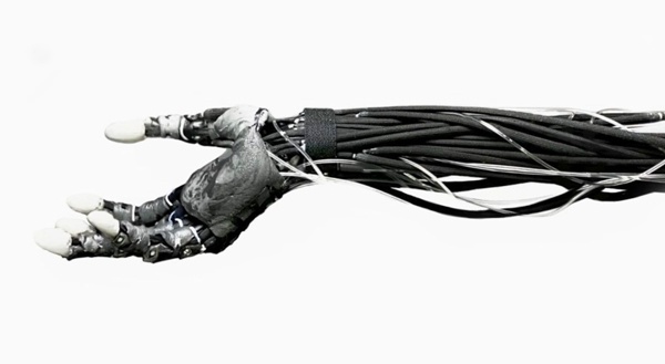 Синтетическая рука Clone Robotics