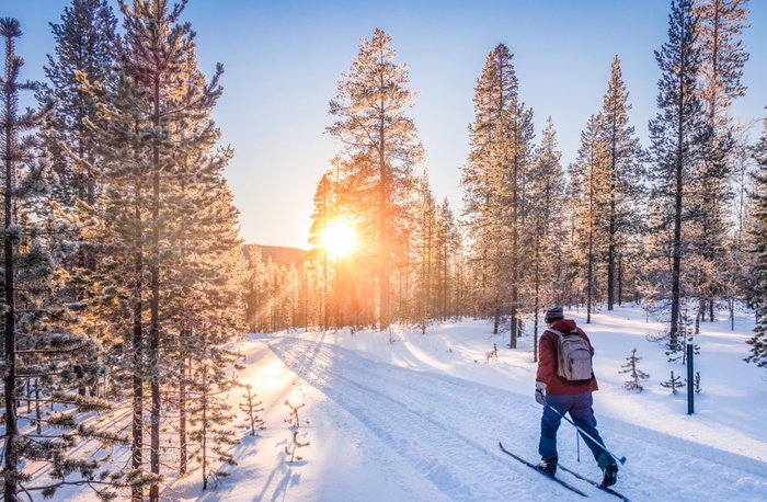 мужчина едет на лыжах в снежном зимнем лесу