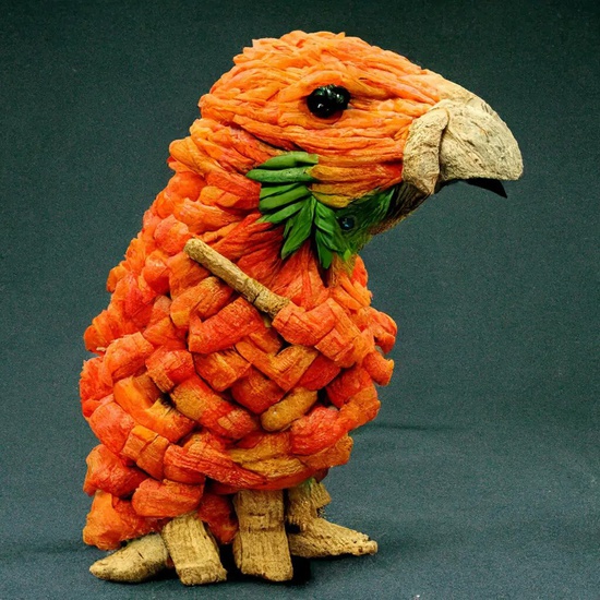 Collin Waldoch, carrot parrot