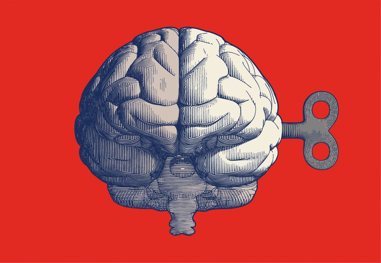 Мозг и ключ