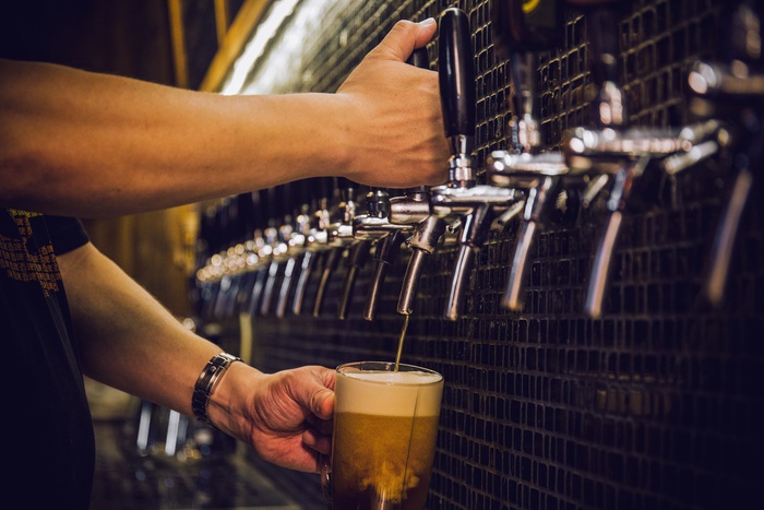 бармен наливает крафтовое пиво из крана