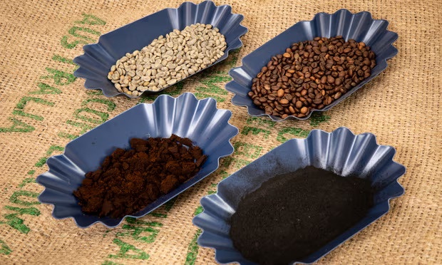 Образцы кофе без обжарки, обжаренного кофе, использованной кофейной гущи и биоугля