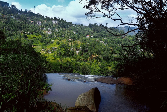 Шри-Ланка, вид на лесной пейзаж