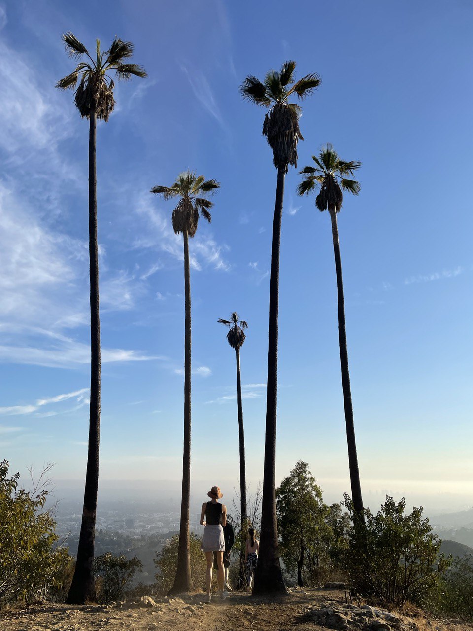 Холмы над Лос-Анджелесом