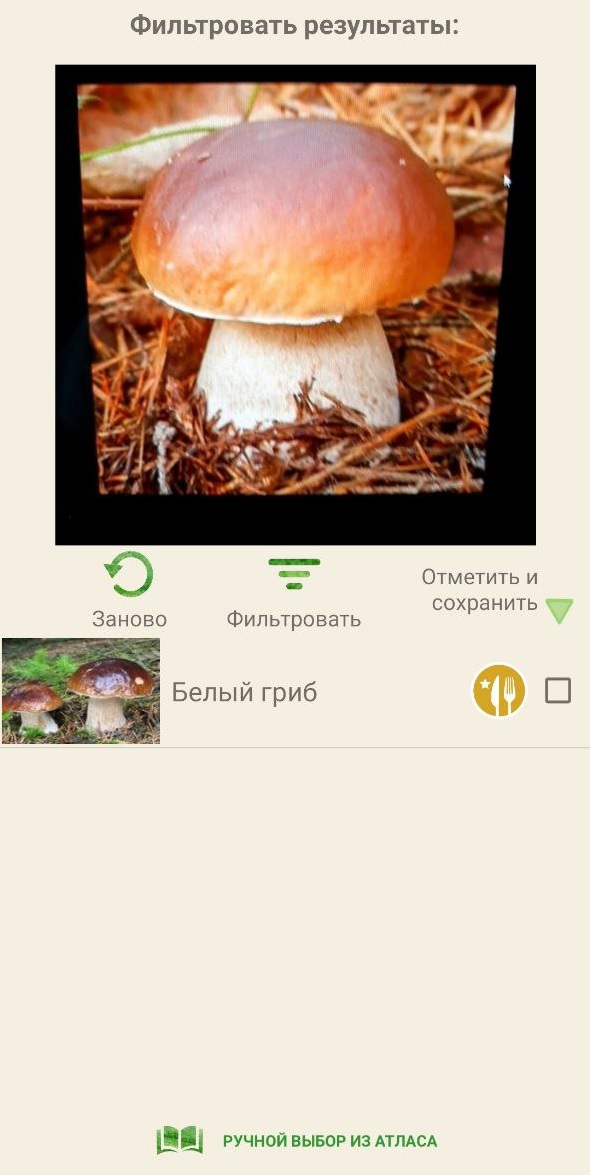 По грибы приложение