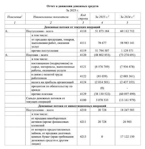 Фрагмент отчёта о движении денежных средств ООО «Лукойл-АИК» за 2025 год. Источник: bo.nalog.gov.ru